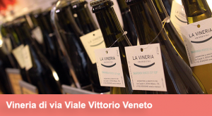vittorio-veneto